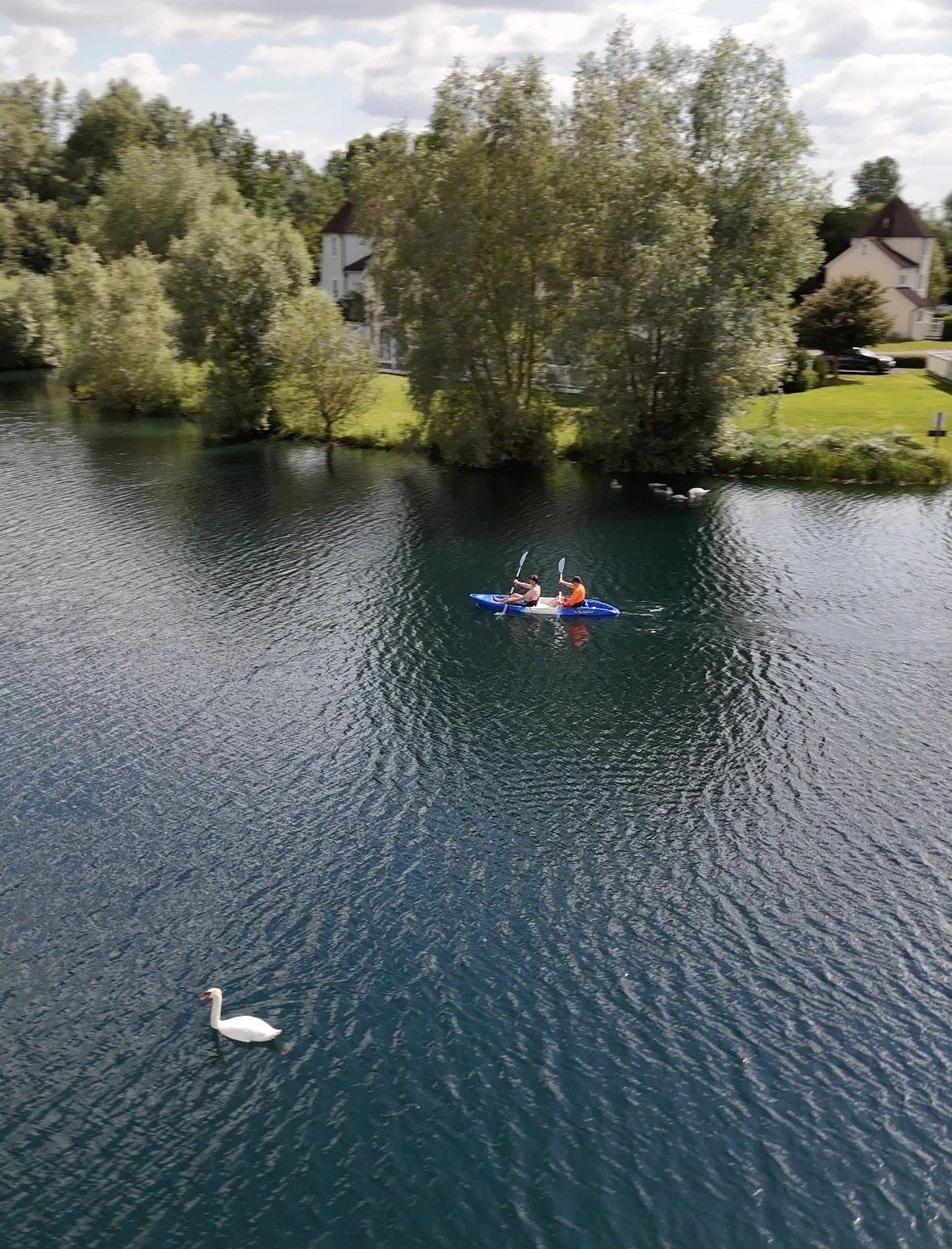 An aerial view of a kayak sharing the lake with a swan