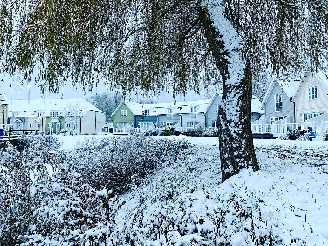 Green Woodpecker Lodge under snow