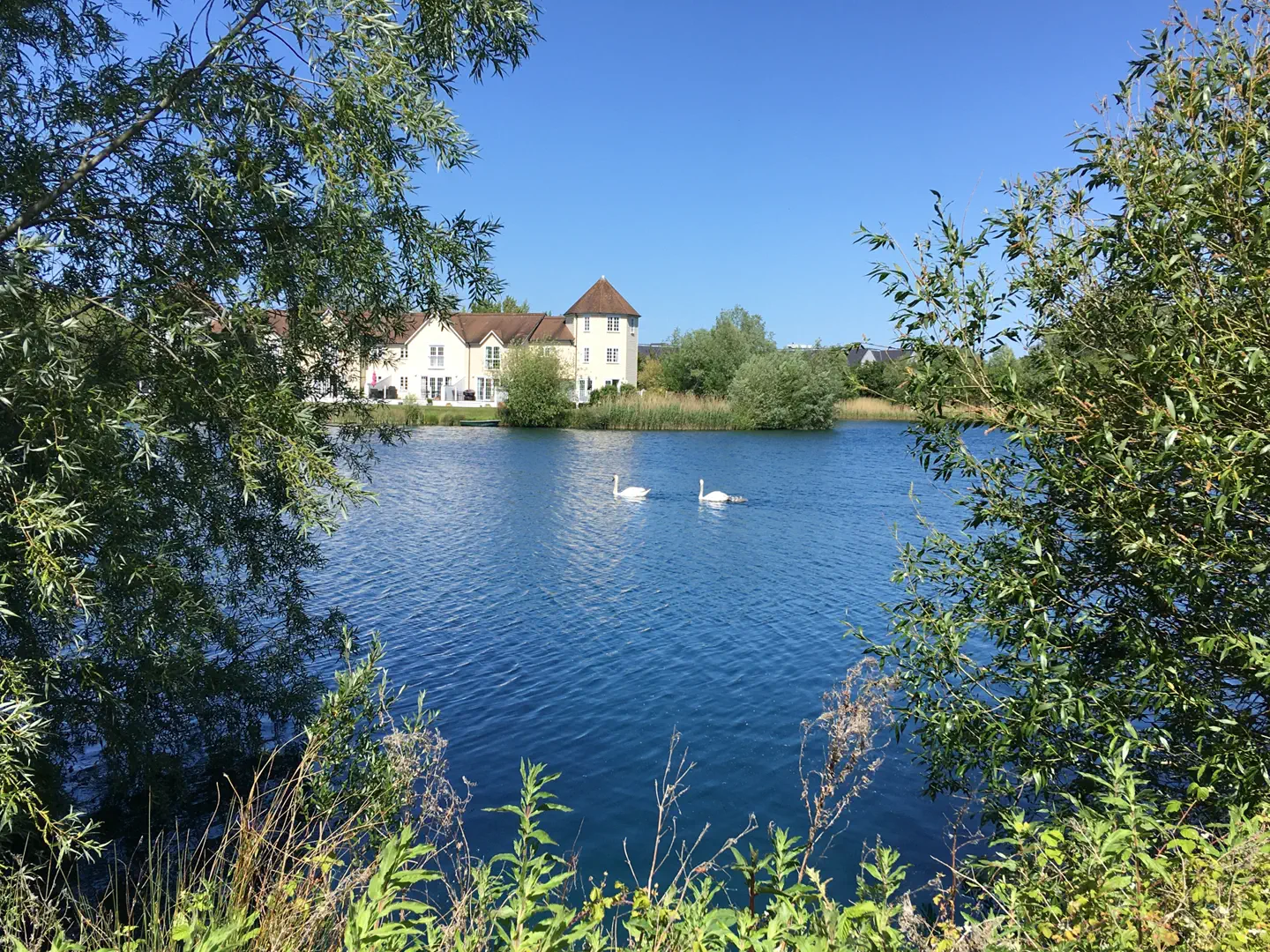 The view across the lake from Grey Heron Lodge