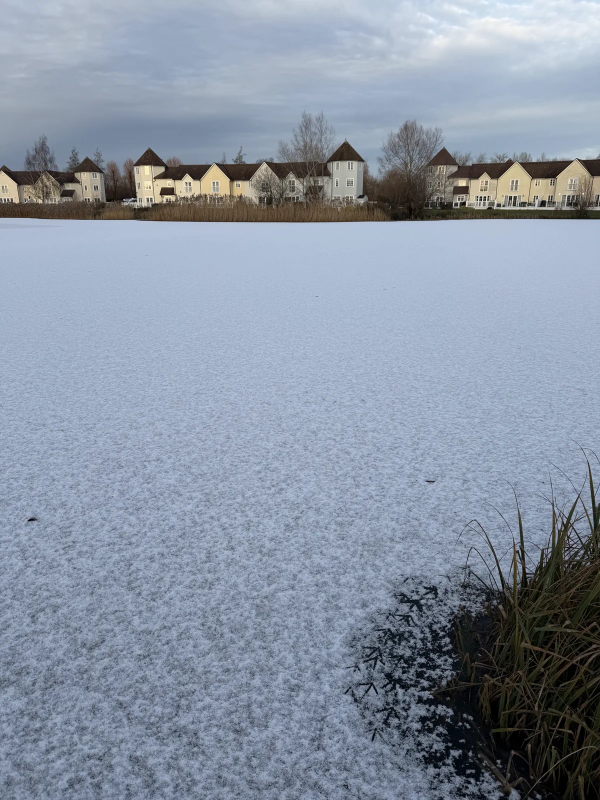 Windrush Lake frozen over in winter