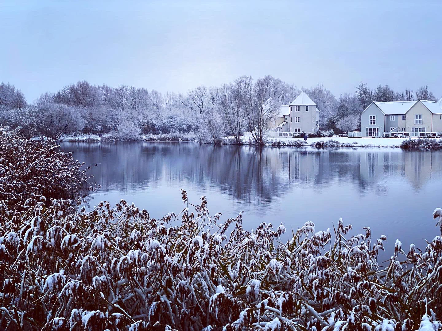 Snow settled around Grey Heron Lodge